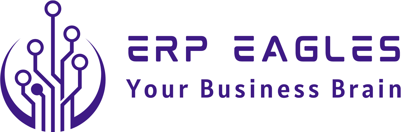 ERP Eagles - Your Business Brain
